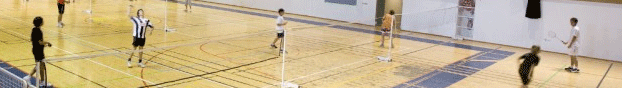 Badminton