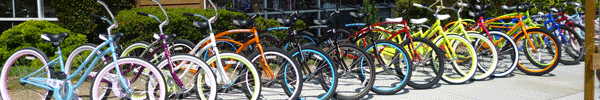 Bicycle Rental